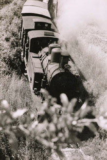 El tren d'Olot durant un viatge. 1965-1969