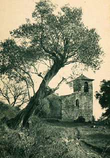 Sant Andreu del Coll. 1920-1930