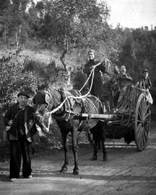 Excursió al santuari de la Mare de Déu del Mont. 1945