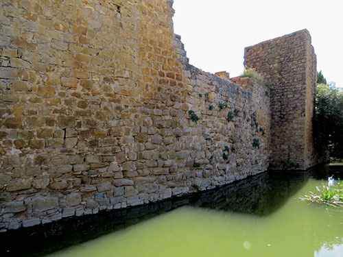 El rec del Mol&iacute;